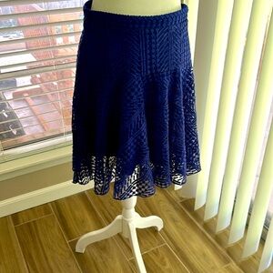 H&M Blue A-Line Skirt US 12 Lace High Waist Skater Embroidered